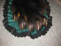 Bear Paw